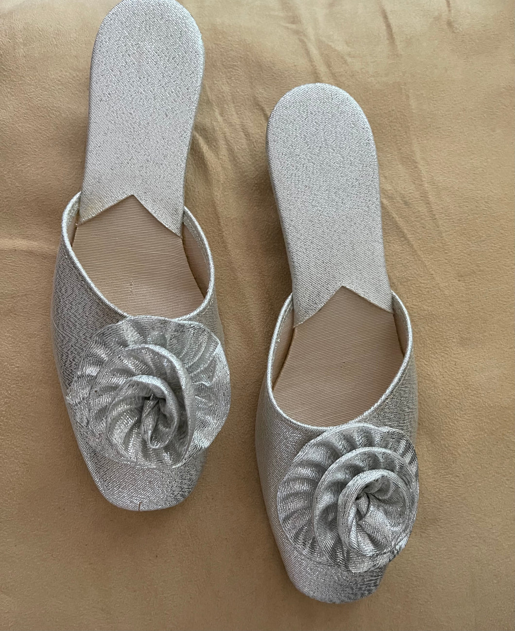 Vintage Silver Sleepers