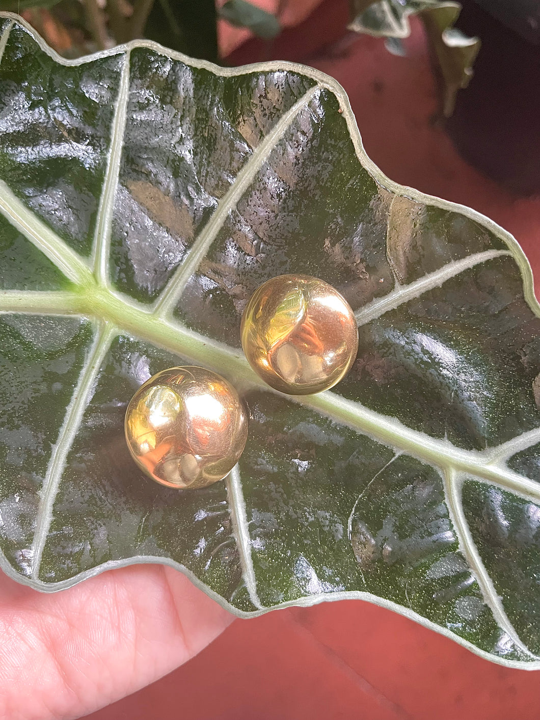 Vintage Gold Tone Earrings